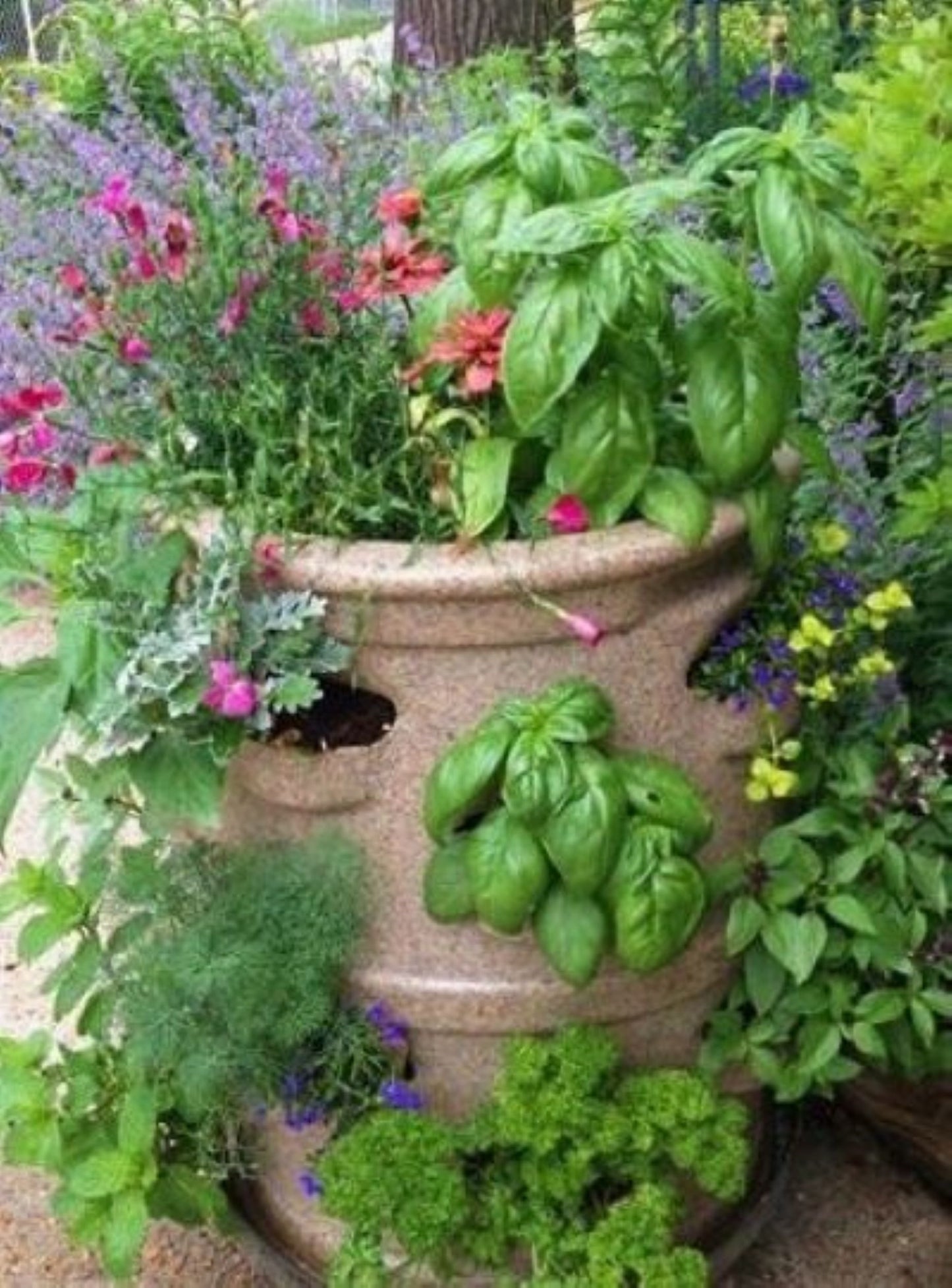 P3 Herb Garden Pkg - (Custom planter, horticultural charcoal, worm castings & organic herb & leafy greens food)