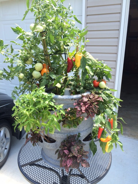 P3 Container Gardening System - Patio Pocket Planter "Gray Granite”
