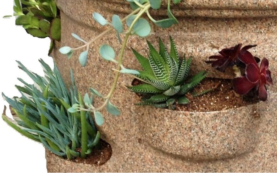 Succulent Mix - Ideally Formulated for Growing Beautiful Succulents & Cacti - 8 qt. bag