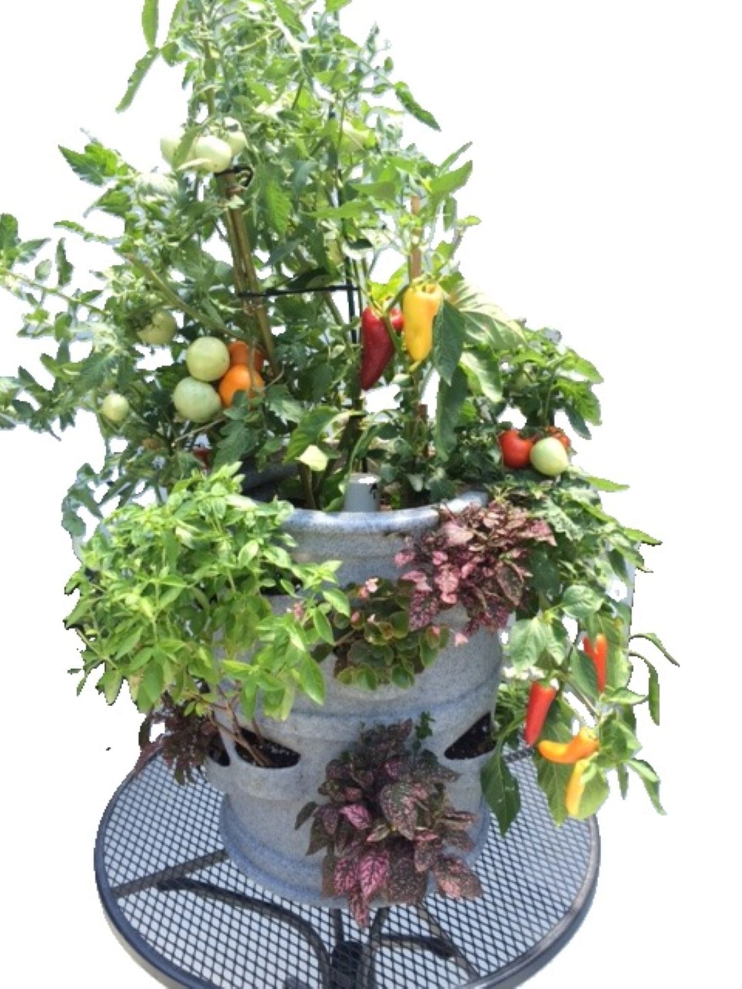 Pocket Planter With 5-Wheel Dolly Cart