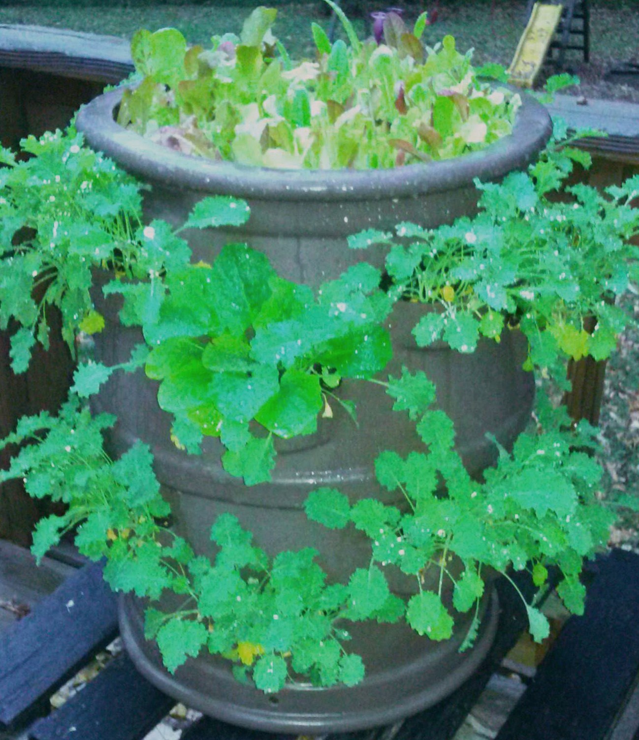 P3 Container Gardening System - Patio Pocket Planter "Chocolate Brown"