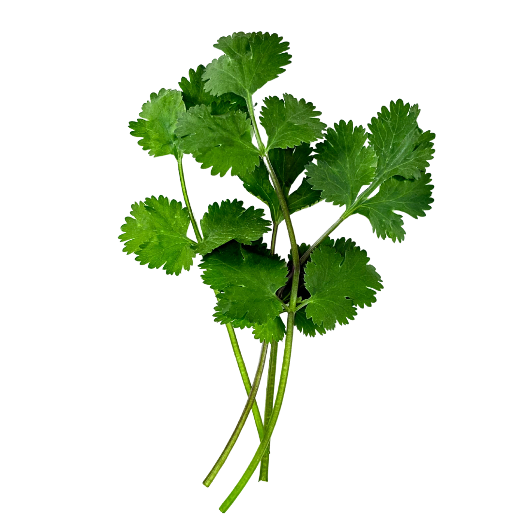 Herb Bundle