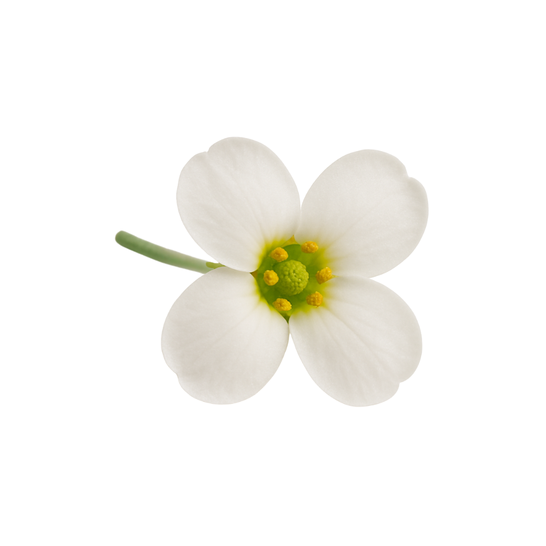 Flower Bundle