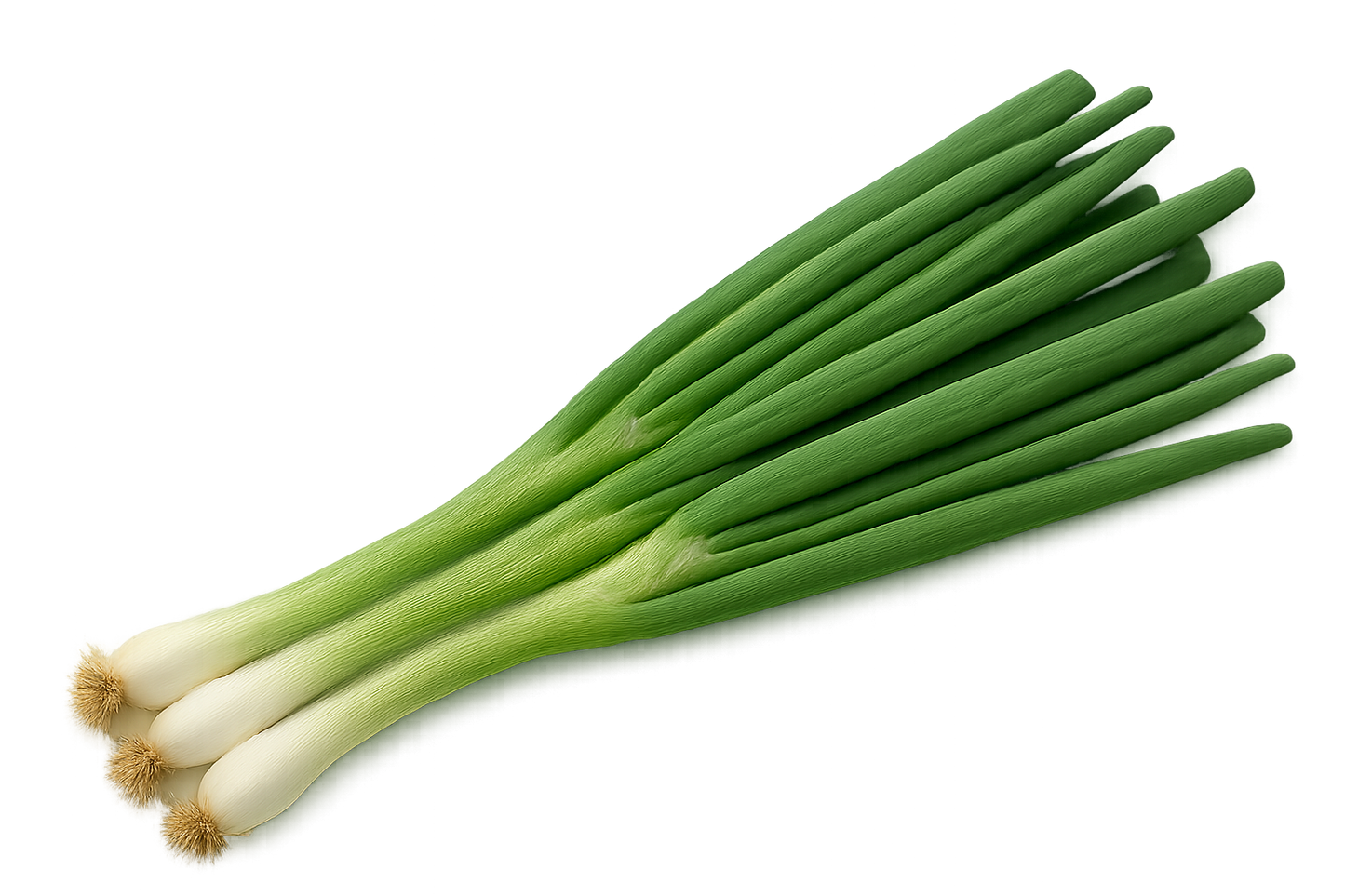 Herb Bundle