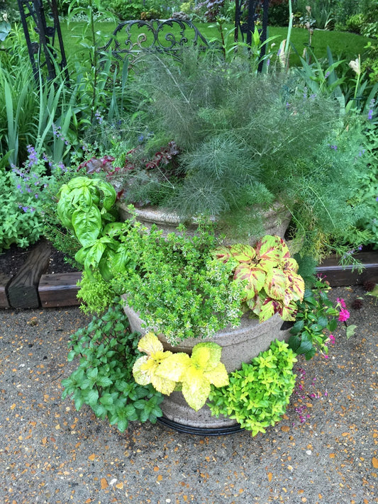 Custom Herb Garden Planter with Center Watering Tube & 5 Wheel Dolly Cart