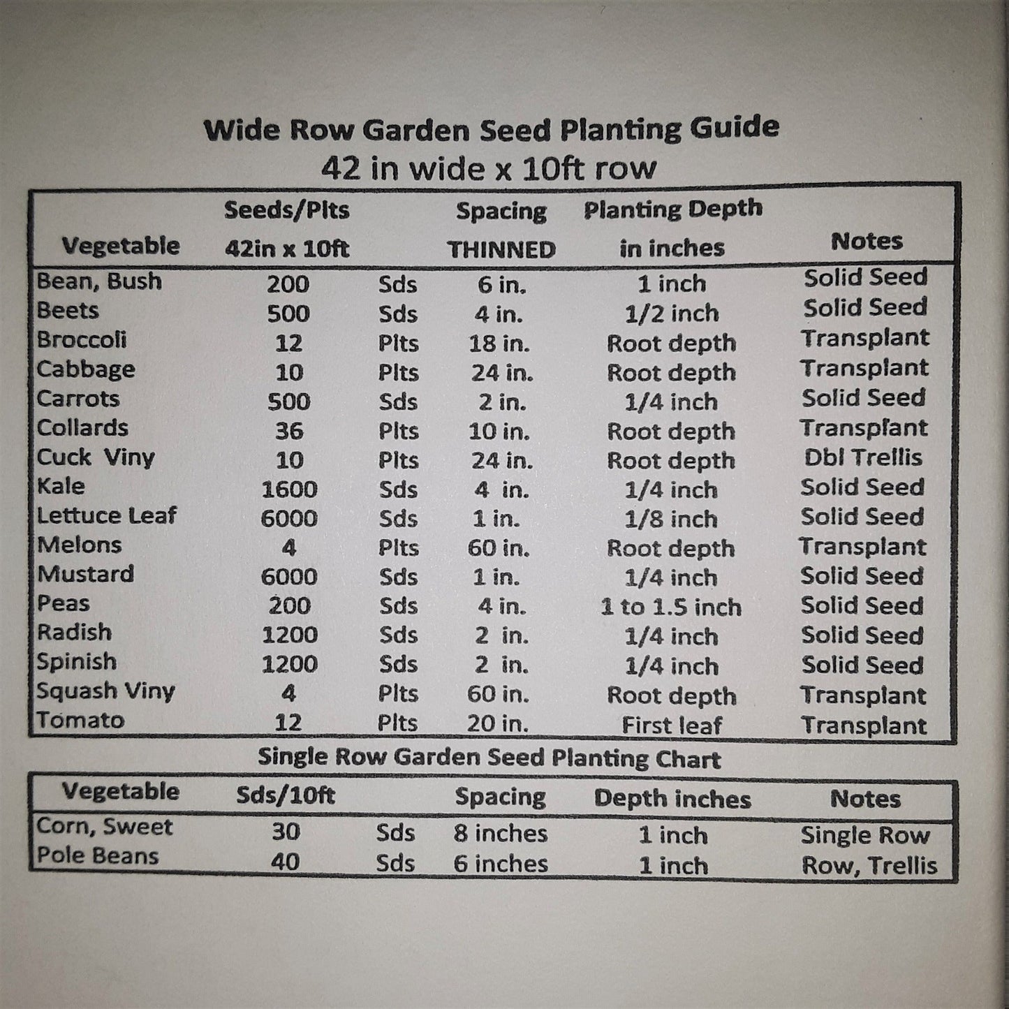 Tabasco VERY HOT Pepper Seeds