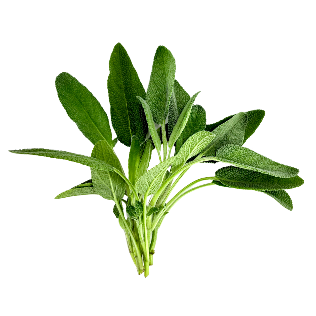 Herb Bundle