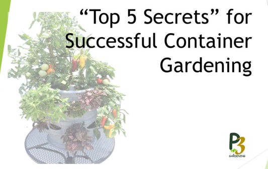 Top 5 Secrets for Successful Container Gardening