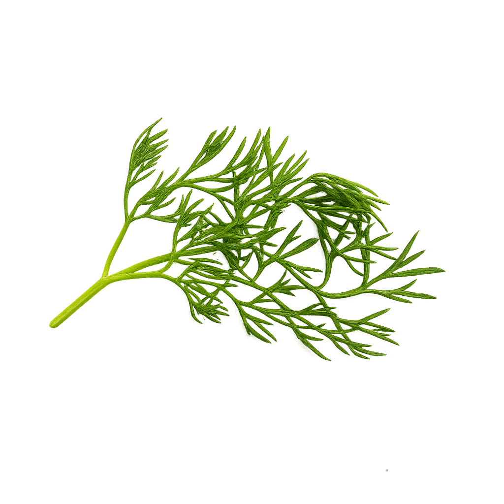 Herb Bundle