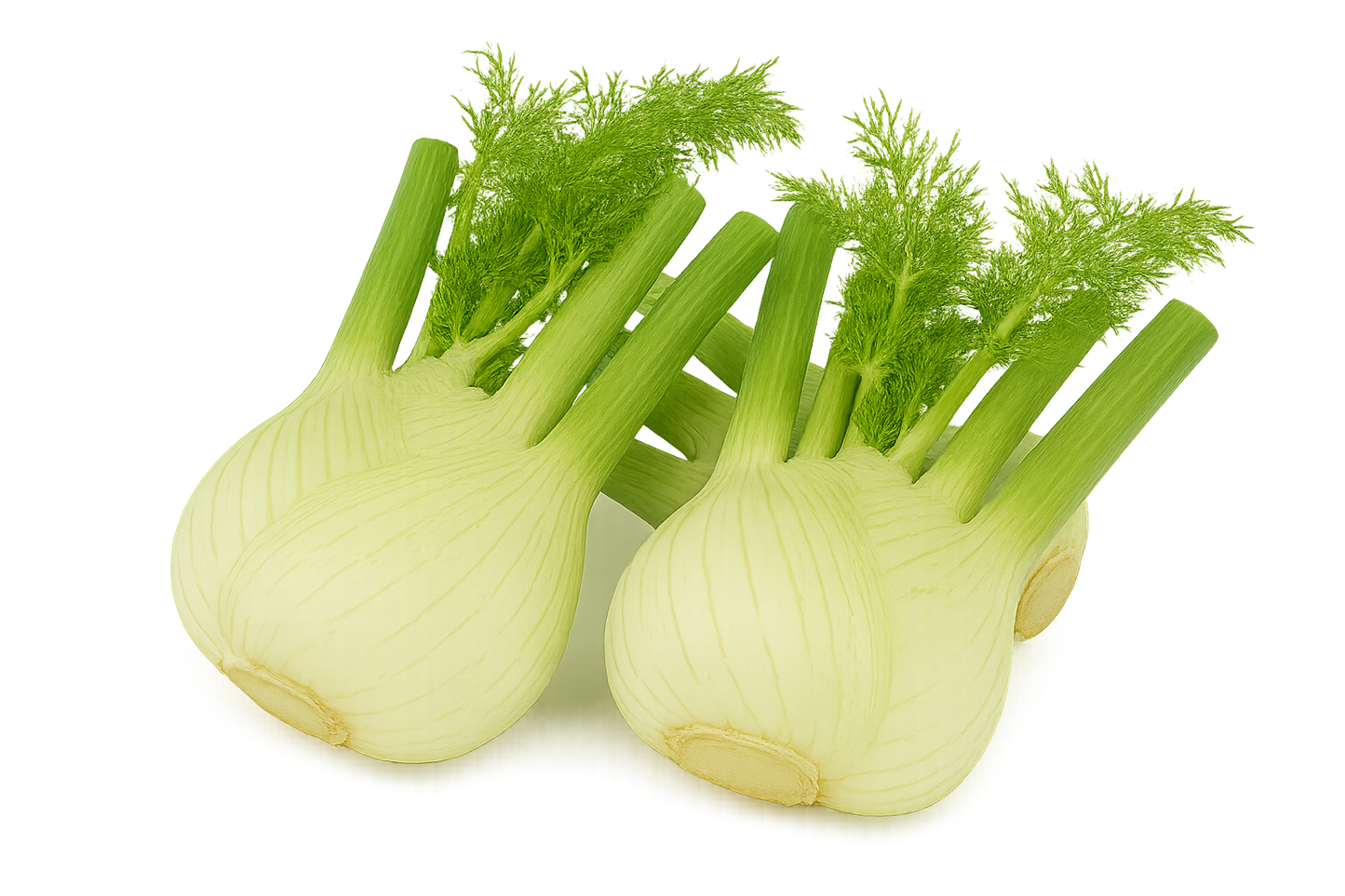 Herb Bundle